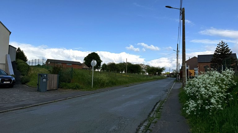 IMG_3479.JPG