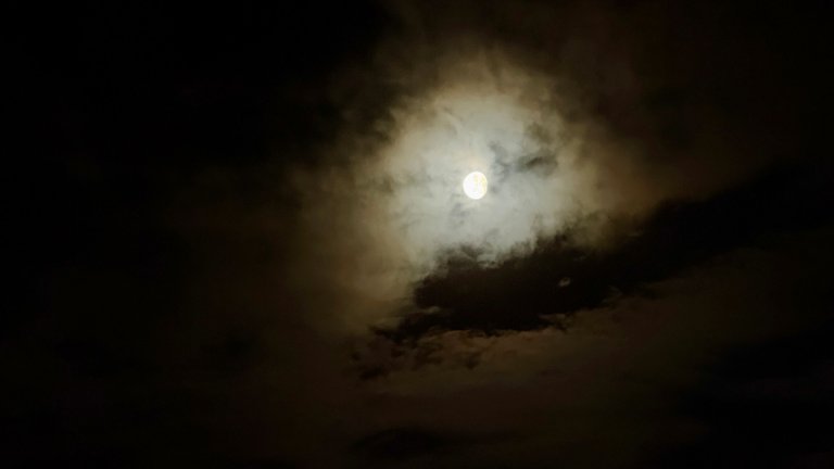 IMG_5480.jpeg