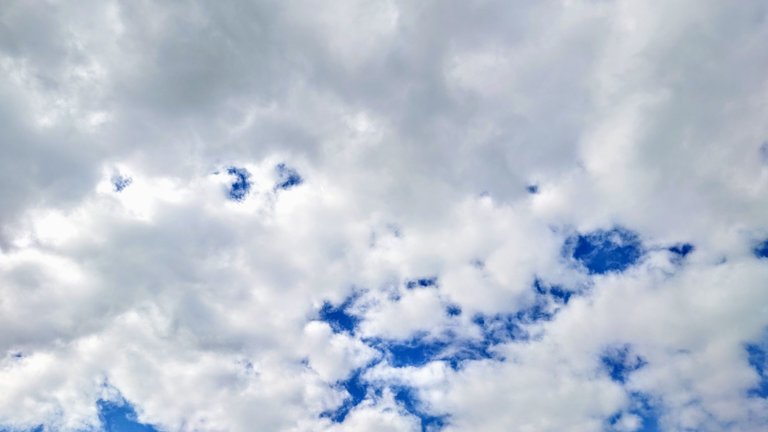 20230425_162219.JPG