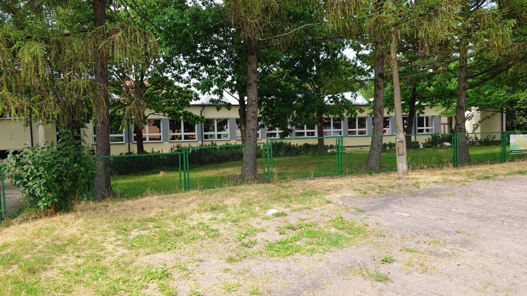 20230710_153806.JPG