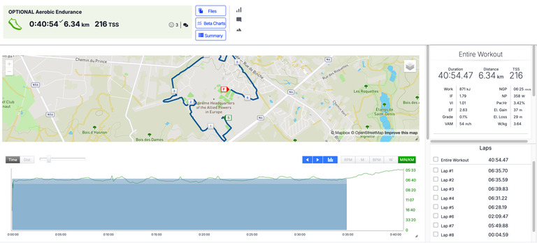screenshot-app.trainingpeaks.com-2025.06.21-22_25_43.png