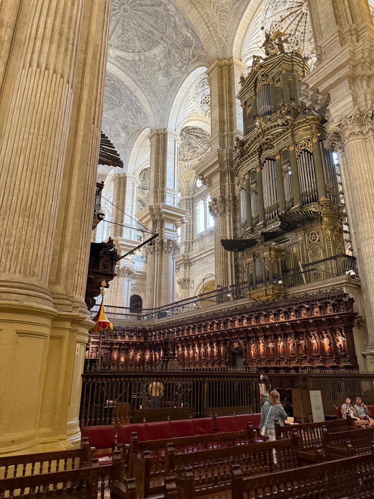 IMG_4160.jpeg