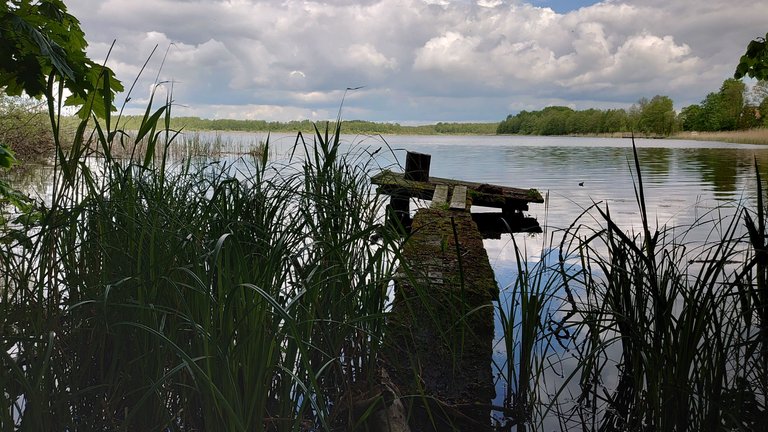 DSC_4539.JPG