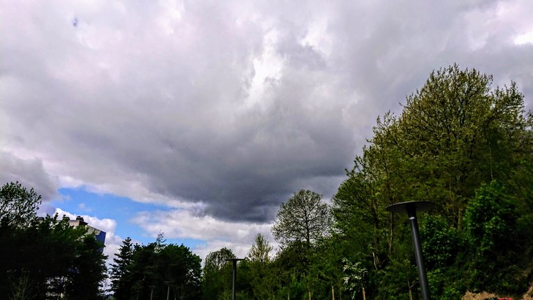 DSC_0086_4.JPG