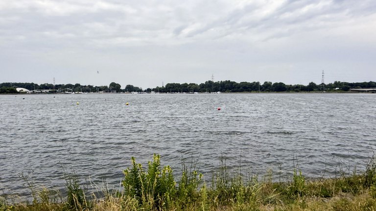 IMG_5094.JPG