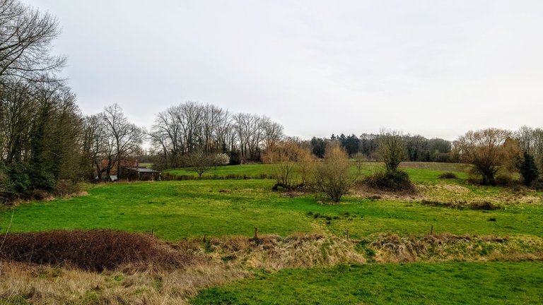 20230317_163023.JPG