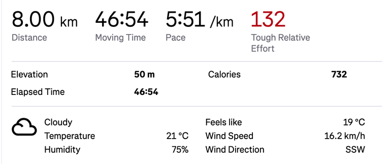 screenshot-www.strava.com-2025.07.20-21_04_19.png