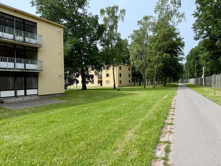 IMG_4726.JPG