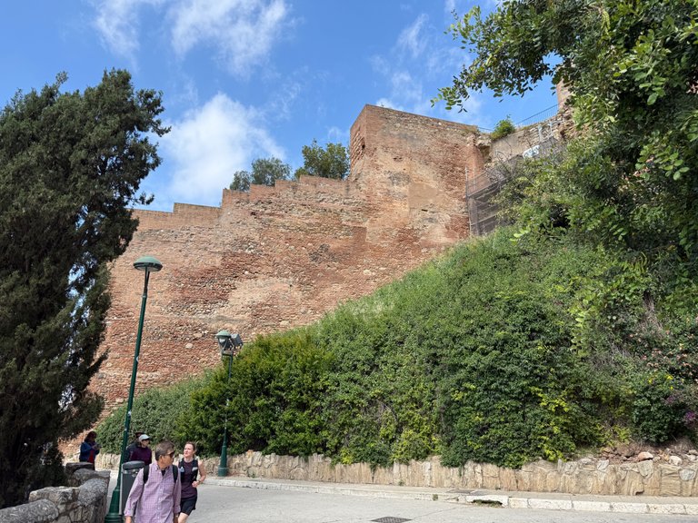 IMG_3992.jpeg