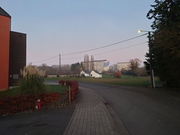 20221216_165100.JPG