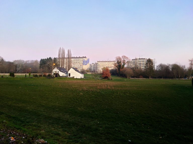 20221216_165235.JPG