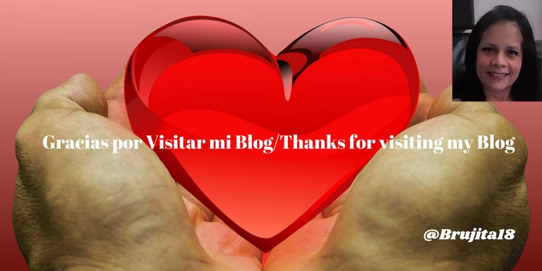 Gracias por Visitar mi BlogThanks for visiting my Blog.png