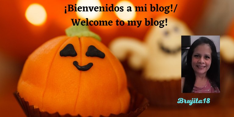 ¡Bienvenidos a mi blog! Welcome to my blog! II.png