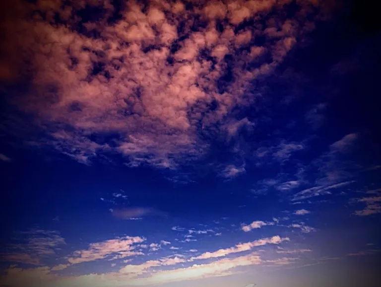 IMG_20241217_1350282.webp