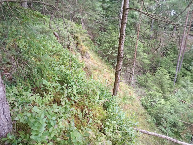 IMG_20250727_171241.jpg