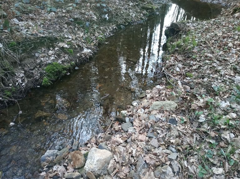 IMG_20250405_181743.jpg
