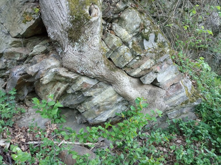 IMG_20250419_191502.jpg