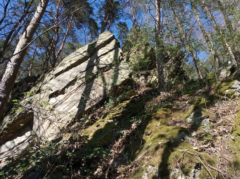 IMG_20250419_172219.jpg