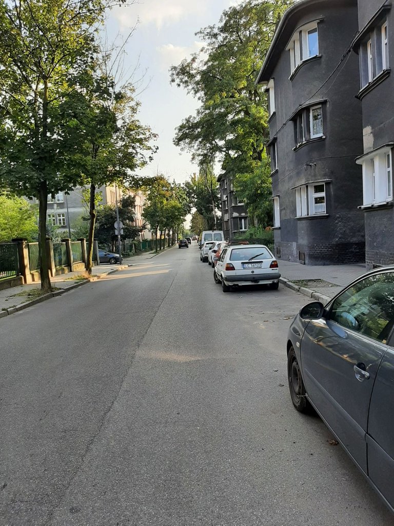 zimnaherbata.jpeg