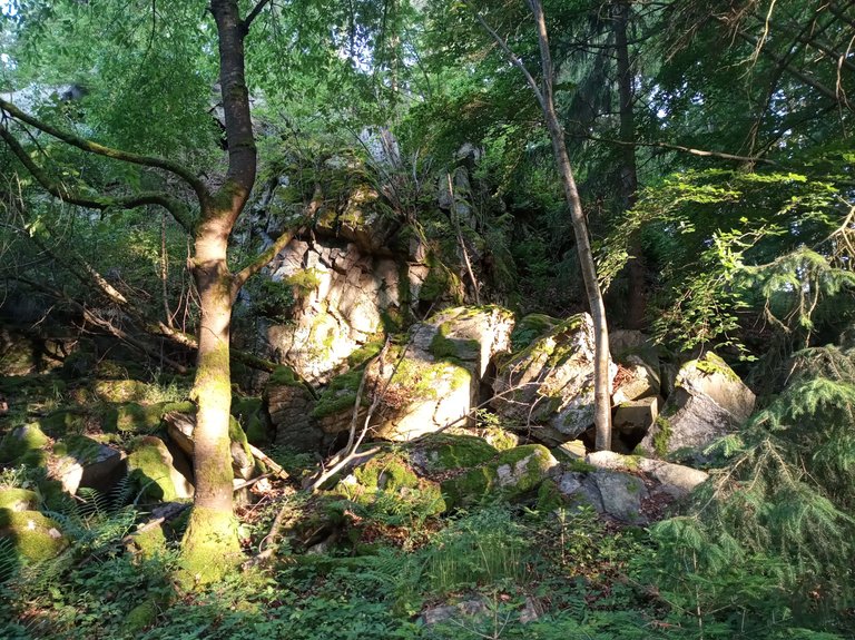 IMG_20250609_064741.jpg