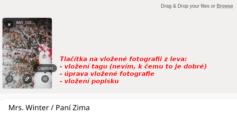 Snímek z 2022-11-19 20-39-26.png