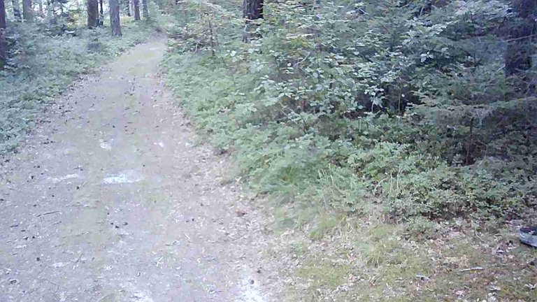 JPG_1755106239378.jpg