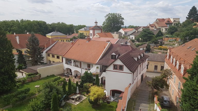za zdí.jpg