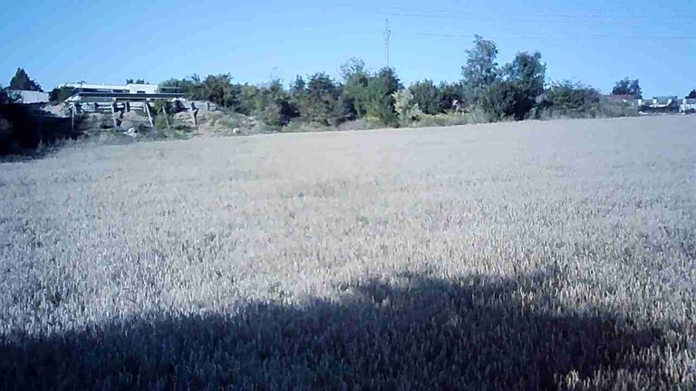 JPG_1754928596464.jpg