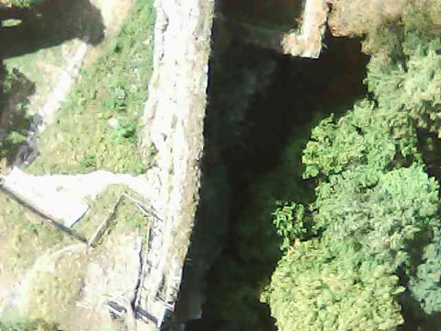 JPG_1755955931136.jpg