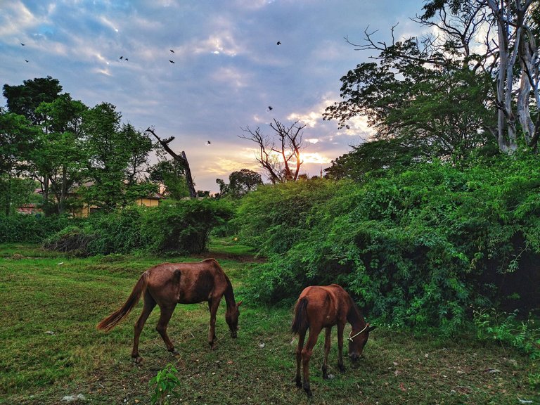 sagaing.jpg