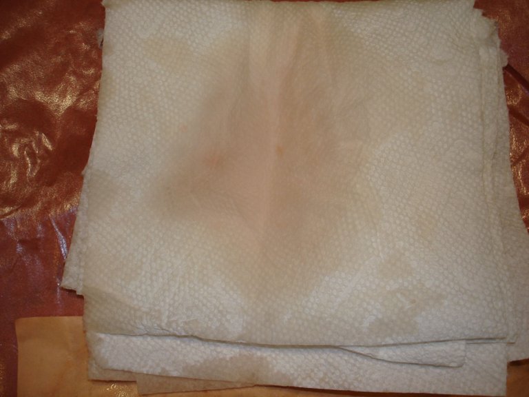 pork_chop_paper_towerl_aftermath.JPG