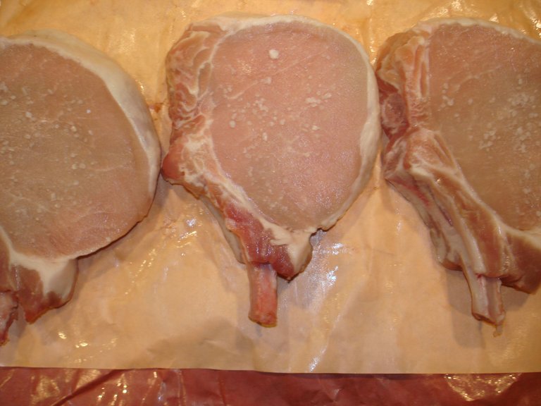 pork_chop_salt.JPG