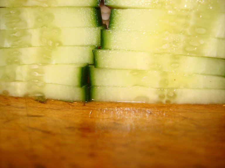 cucumber_wall.JPG