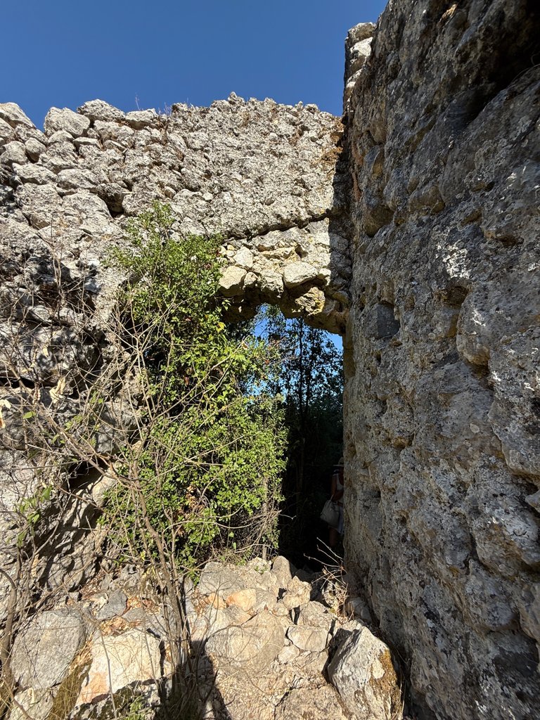IMG_1610.jpeg