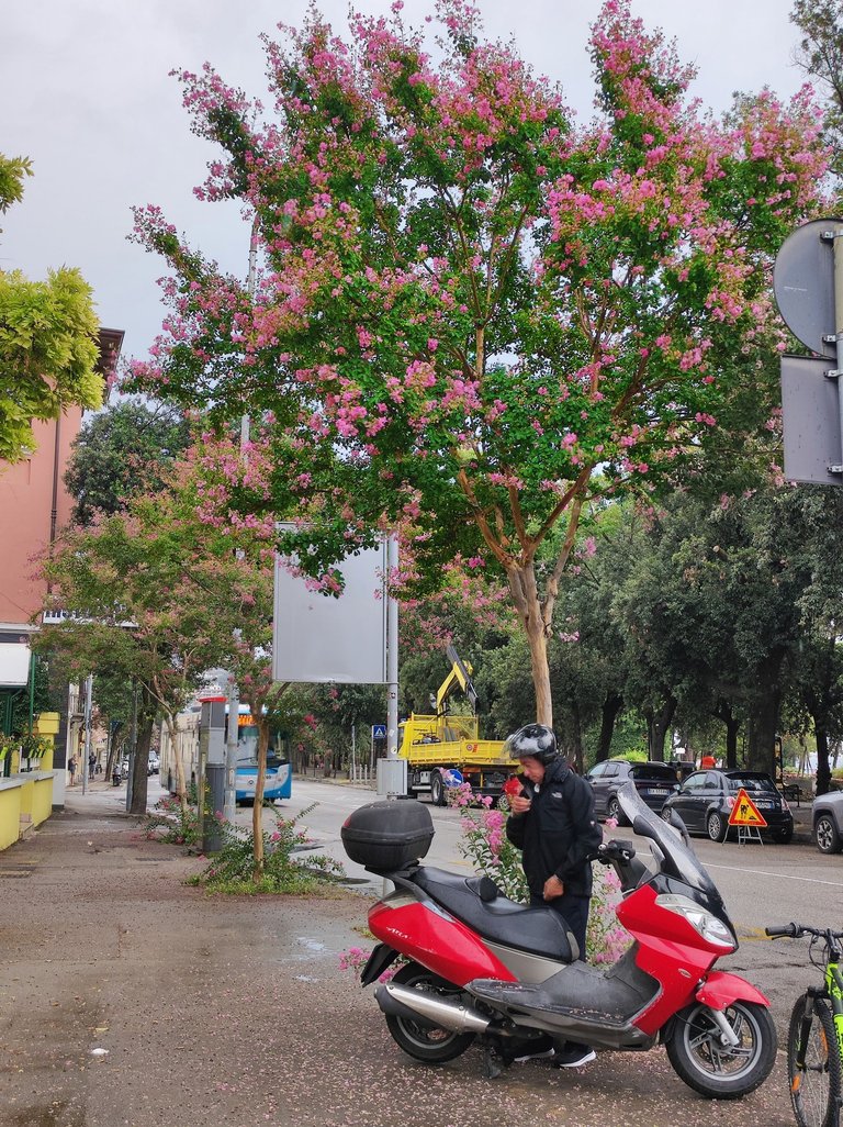 MEITU_20250124_224207682.jpg