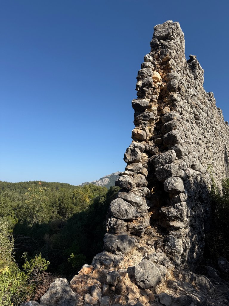 IMG_1560.jpeg