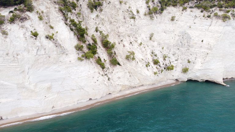 DJI_0264.jpeg