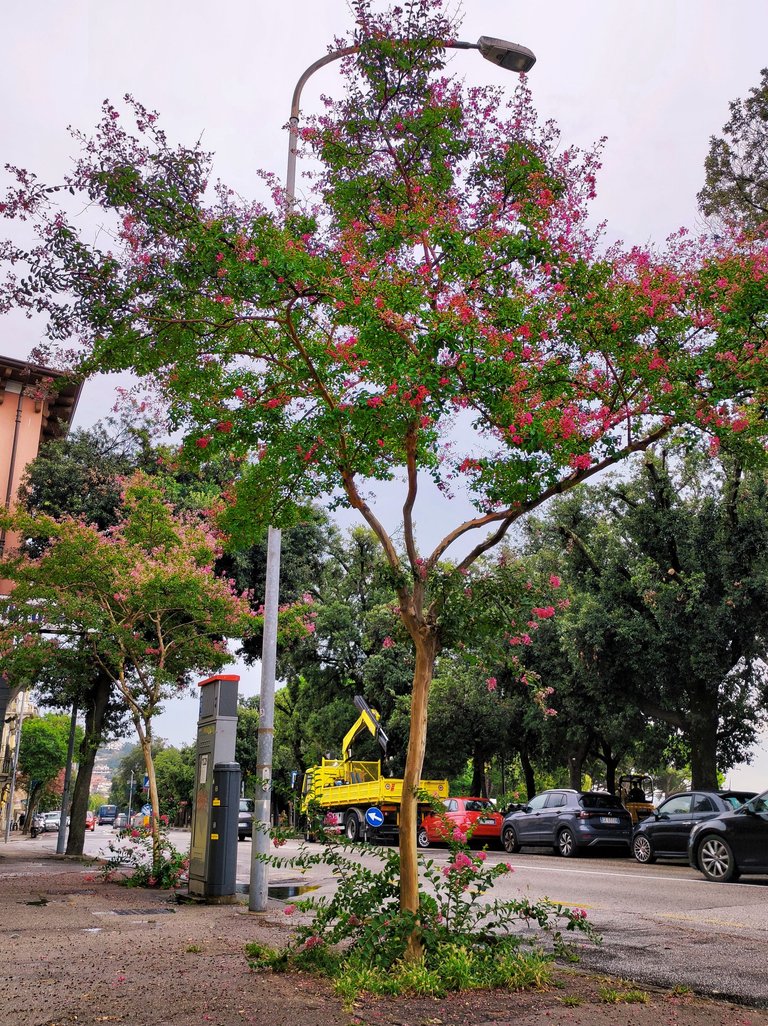 MEITU_20250124_221622123.jpg