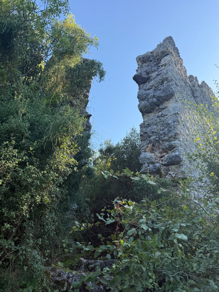 IMG_1613.jpeg