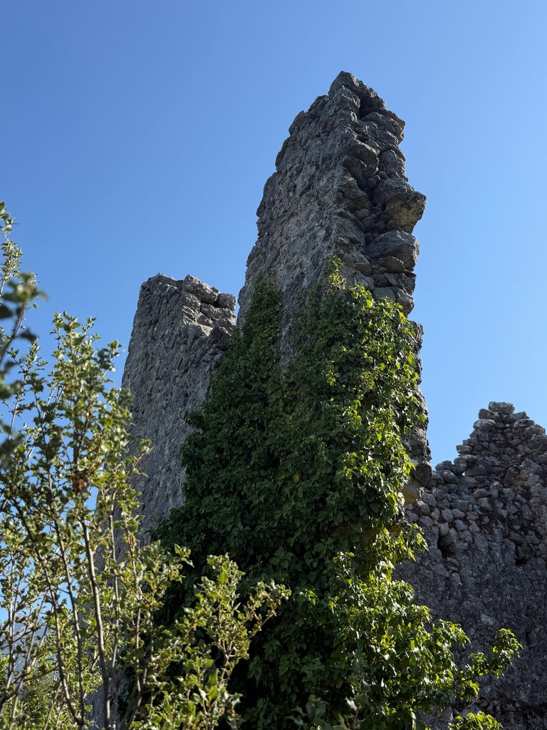 IMG_1565.jpeg