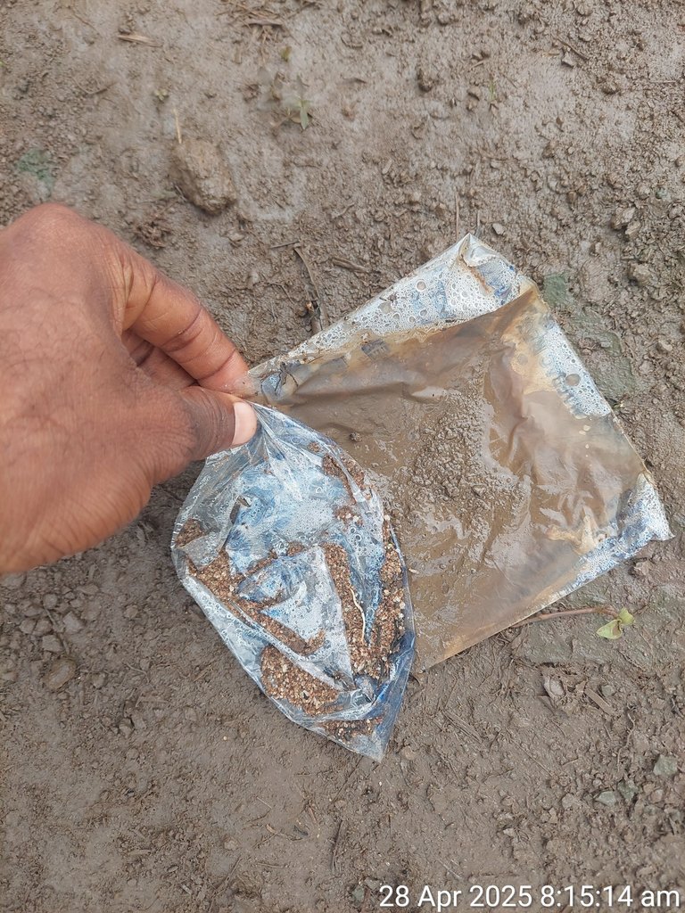 1000181328.jpg