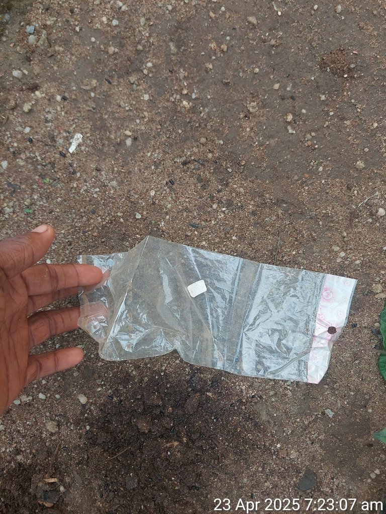 1000177862.jpg