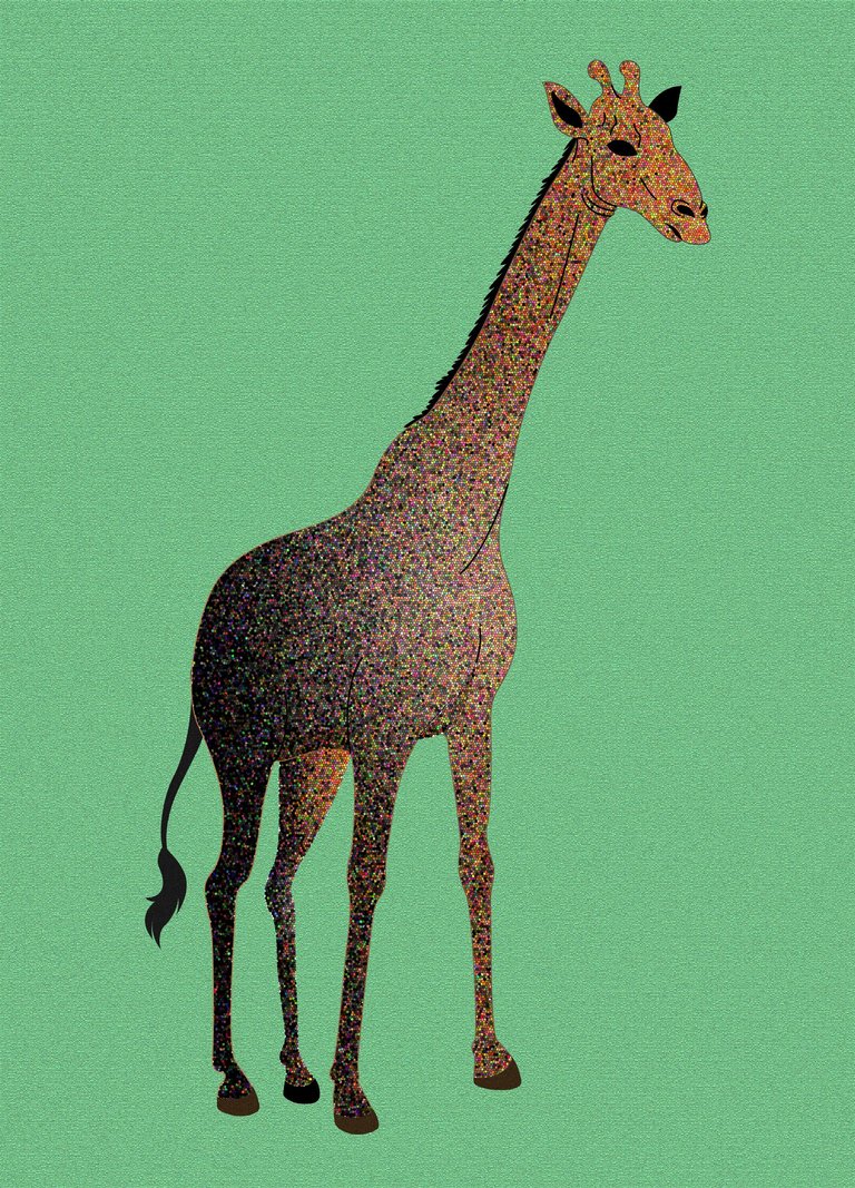 giraffenoii.jpg