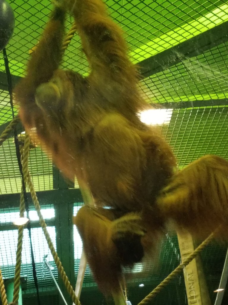 20250912_114659.jpg
