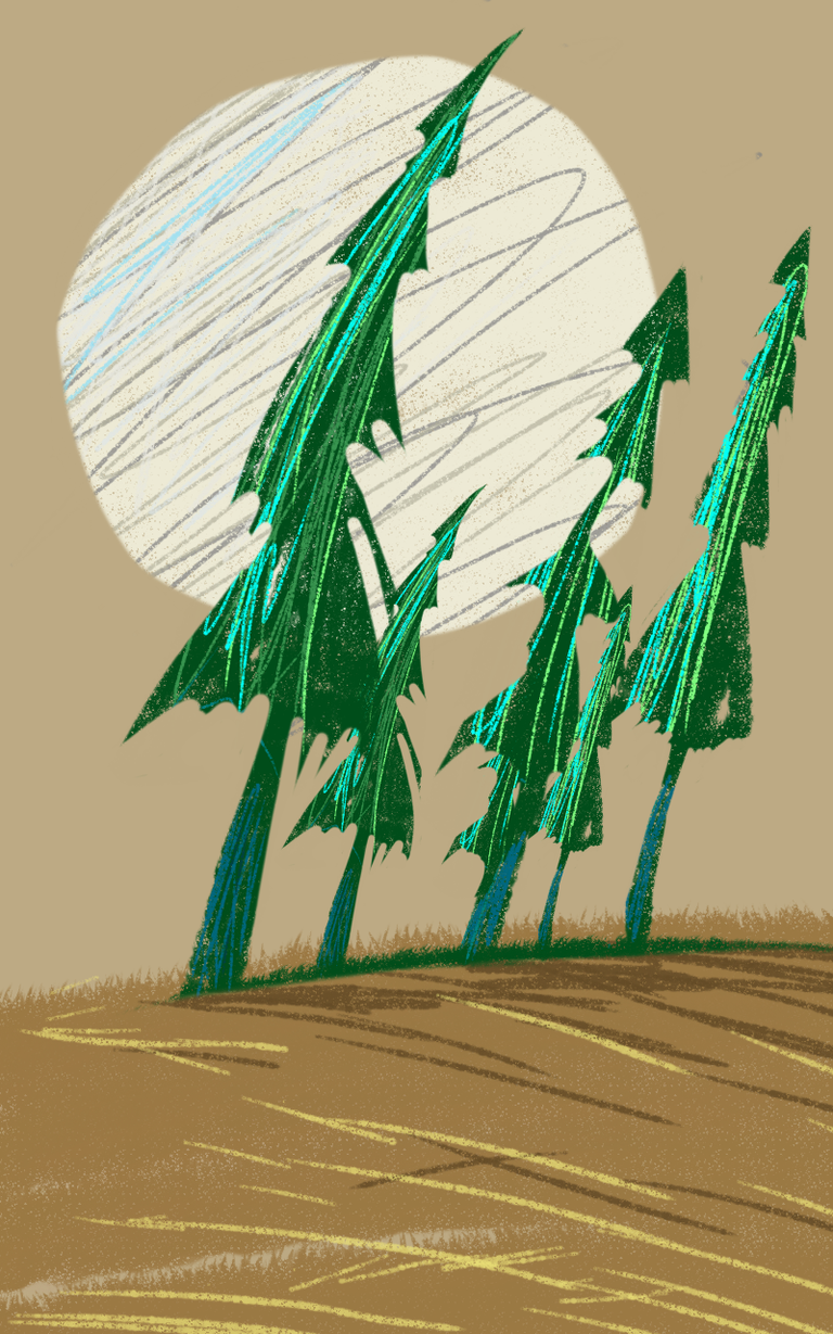 coniferous scratch .png