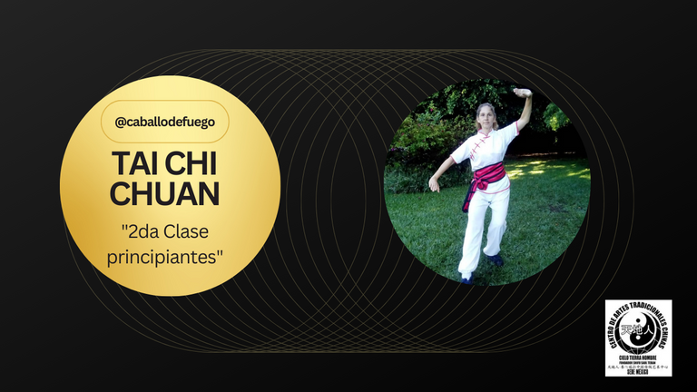 TAI CHI CHUAN.png