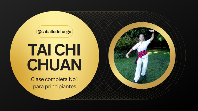 TAI CHI CHUAN.png