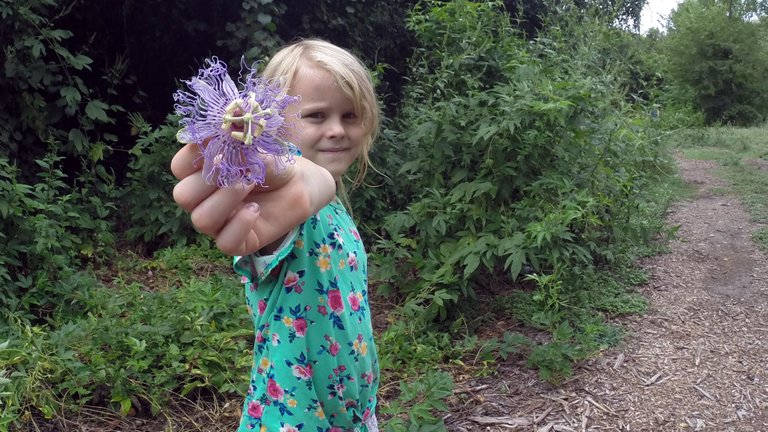 Rosalie shared her appreciation for passionflowers with us.