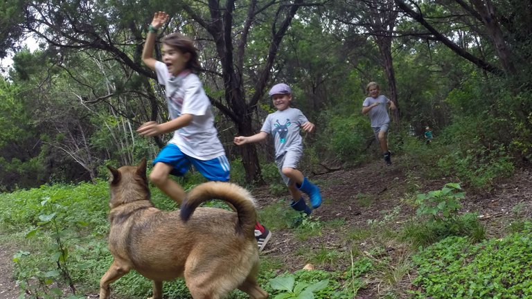 Our sweet dog, Honey, joined us for the outdoor adventure.