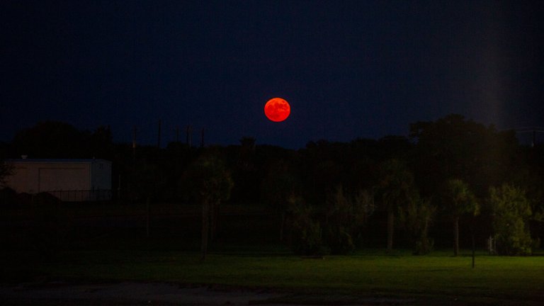 The full moon rose like a raspberry in the sky.